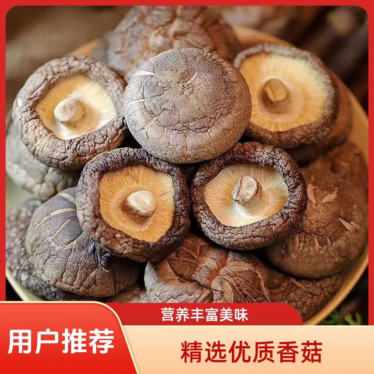 TY古田农家特产香菇干货肉厚食用菌