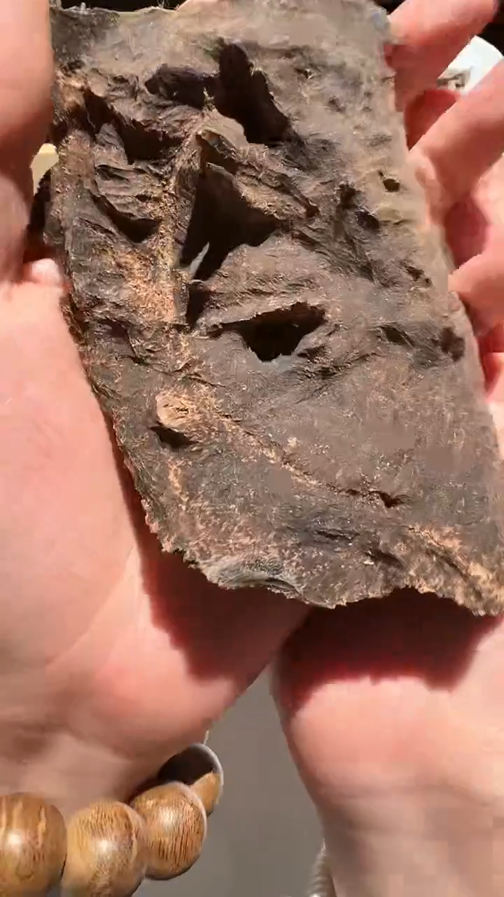 【闪购商品】沉香手把件海南霸王岭15.1g