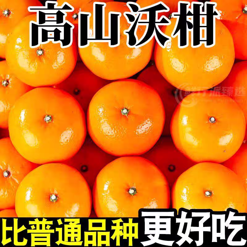 【坏果包赔】现摘现发云南高山沃柑老树果新鲜水果甜蜜多汁