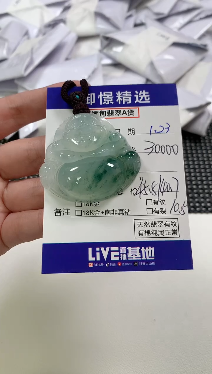【闪购商品】翡翠颈饰未镶嵌49       