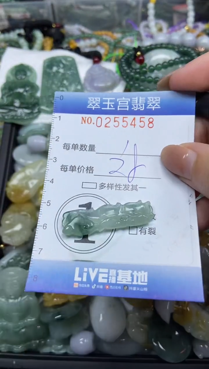 颈饰未镶嵌翡翠闪购C0255458