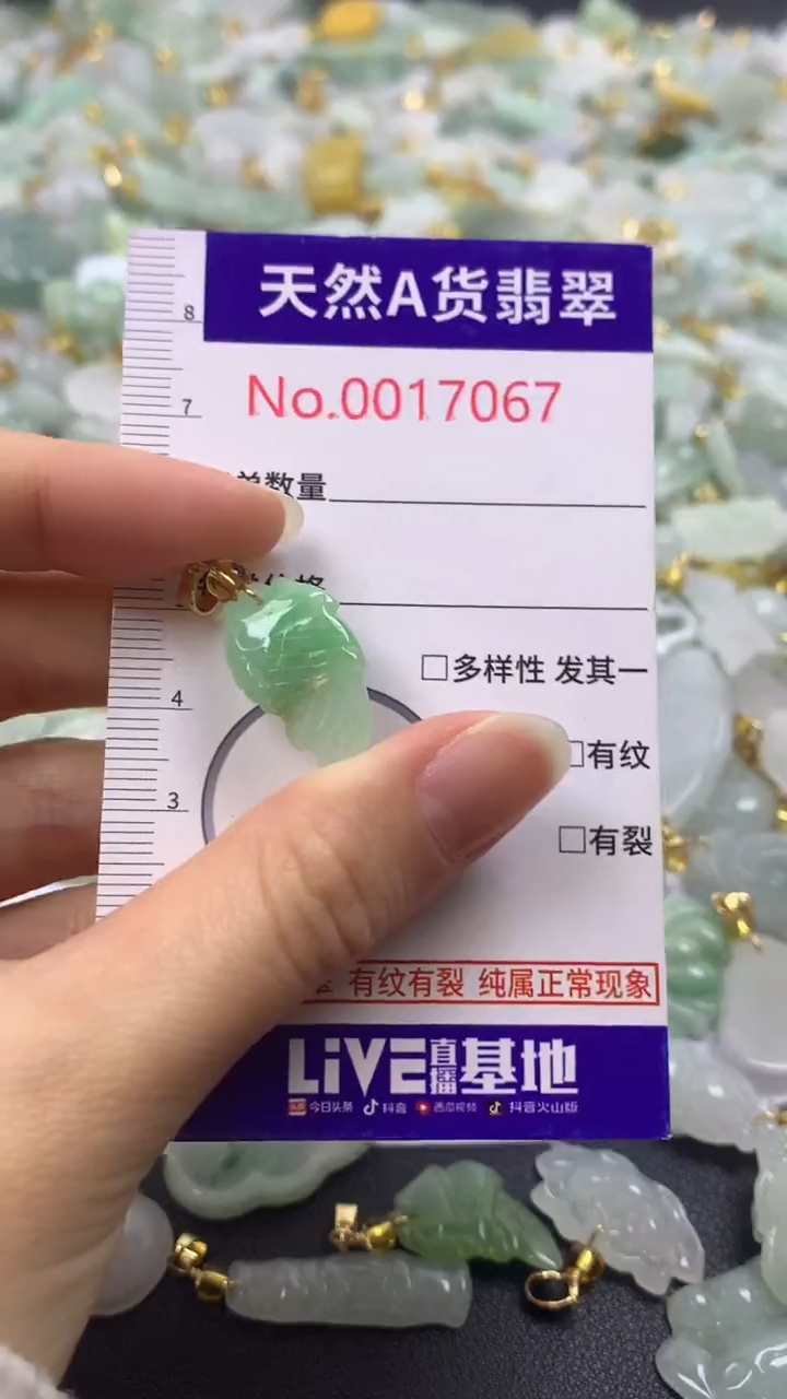 颈饰未镶嵌翡翠1