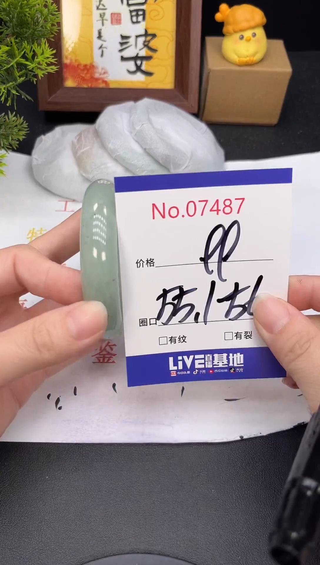 未镶嵌手镯翡翠7487