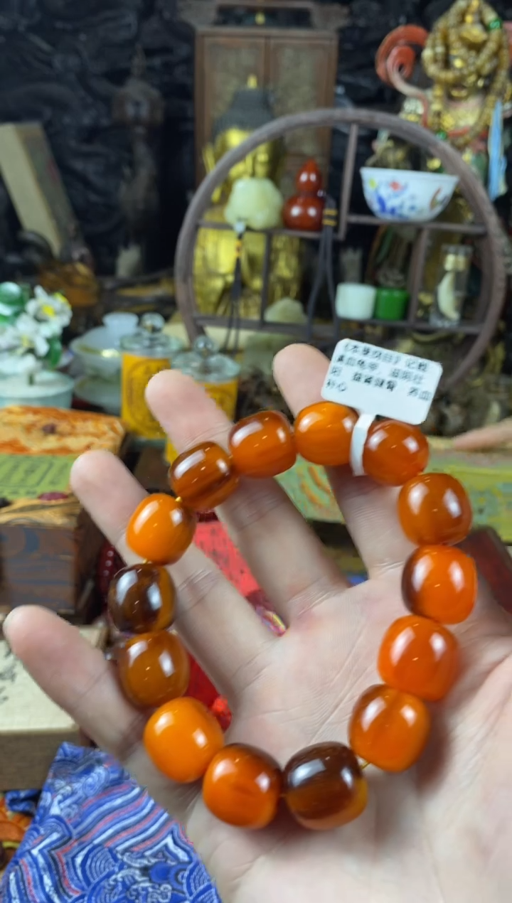 香榧木54（收到货任何问题联系客服）