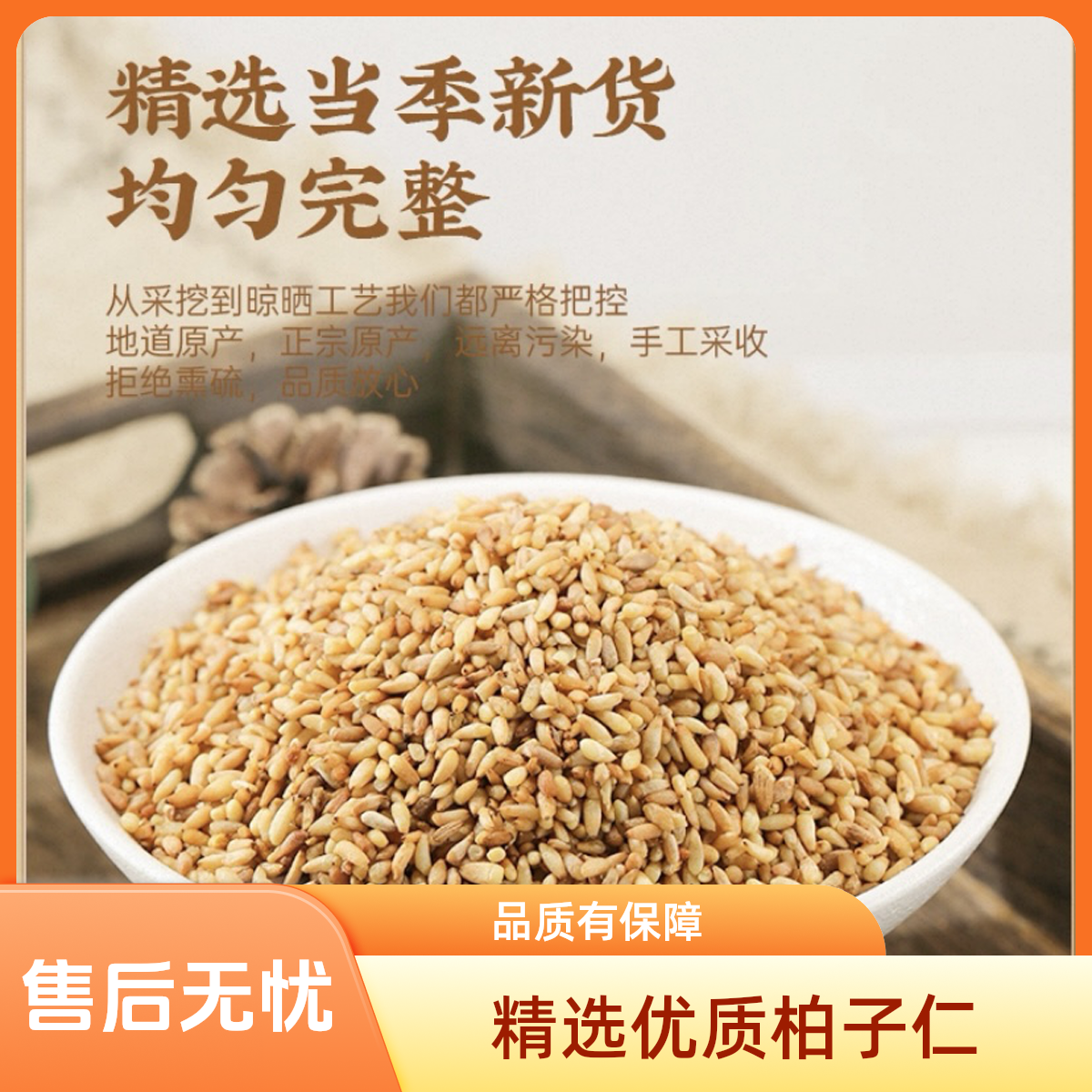 【柏子仁】精选道地柏子仁当季新货粒大饱满无熏无硫泡水泡茶售枸杞