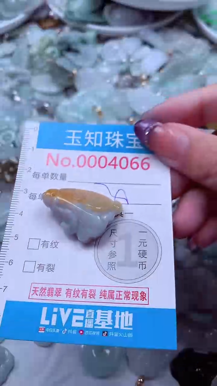 翡翠未镶嵌吊坠(不含链)4066
