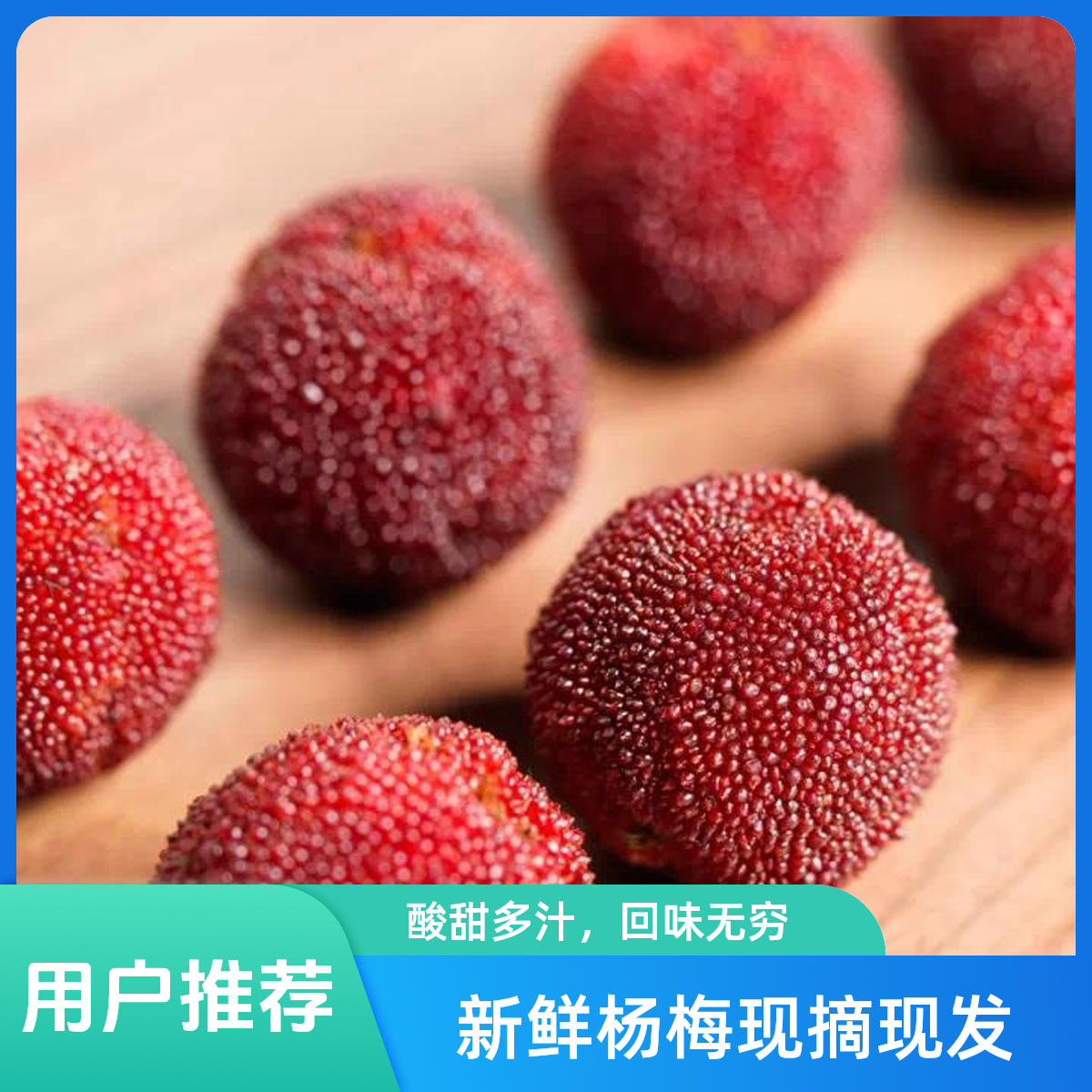 东魁杨梅 1000g