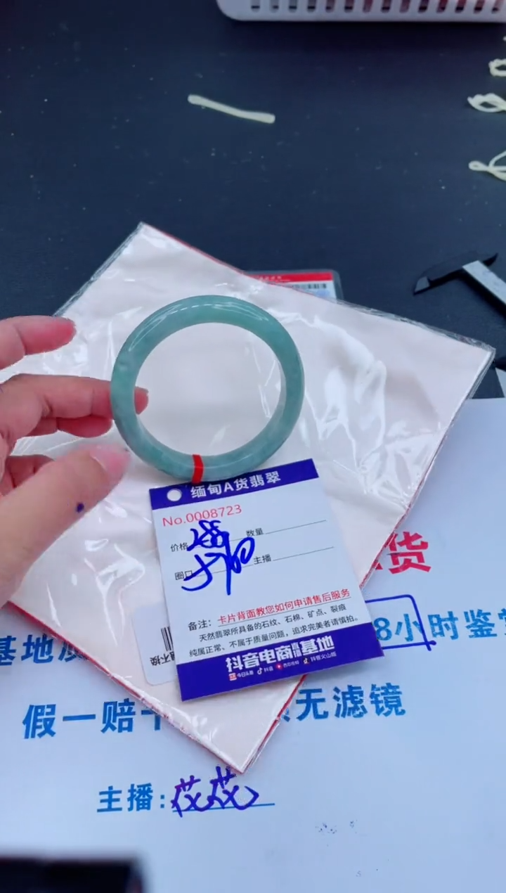 未镶嵌手镯翡翠288