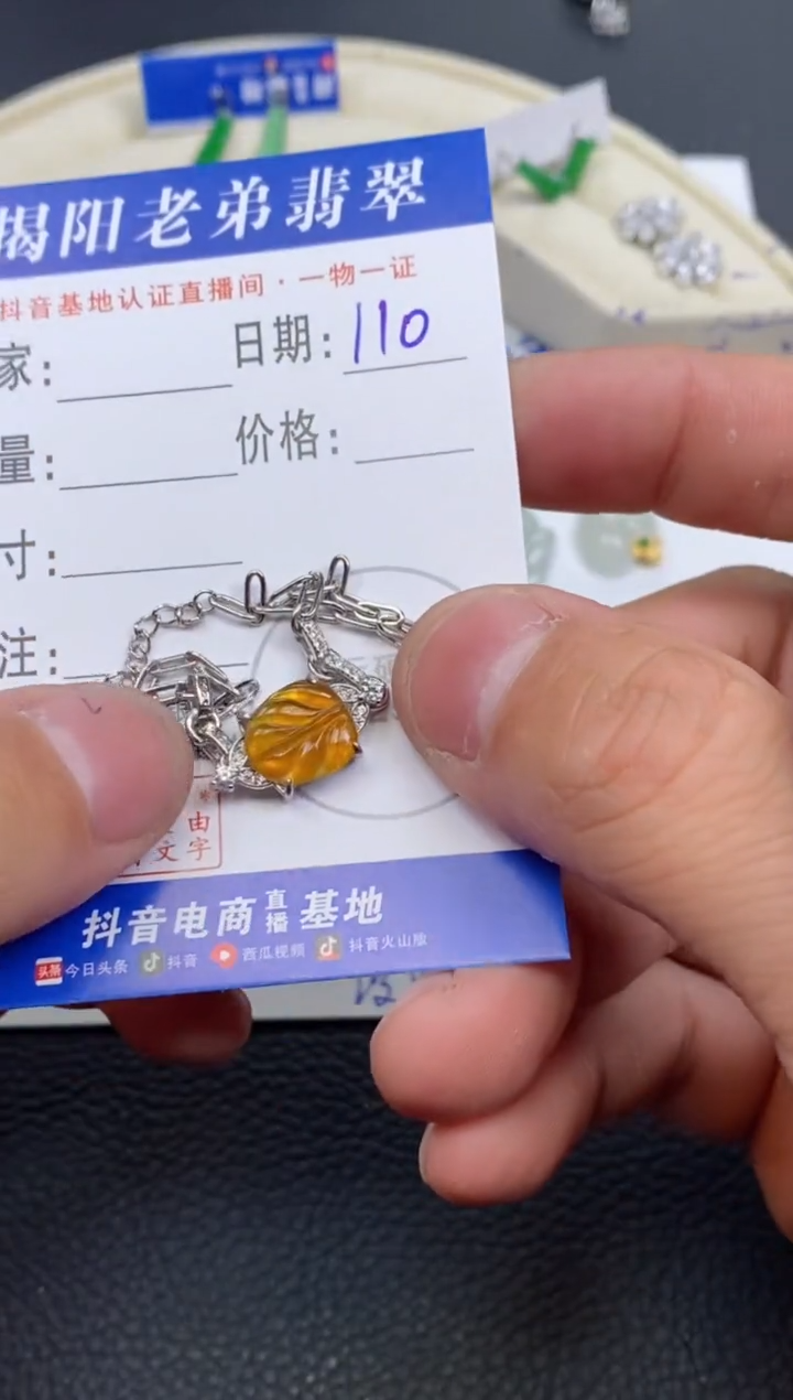 【闪购商品】翡翠颈饰银S925镶嵌多样性发其中一件