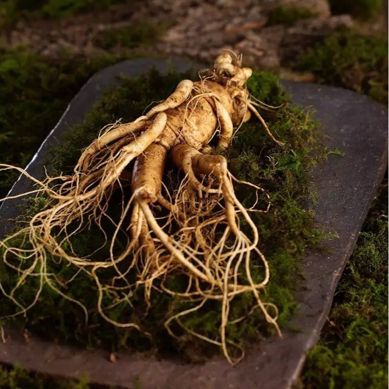 15斤瓶滋补养生泡酒原料人参鹿茸组合（燕）