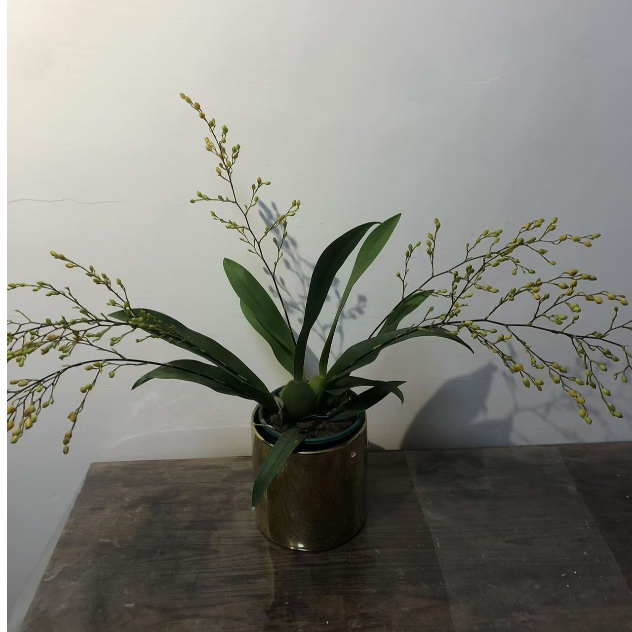 文心兰花瓶年宵花