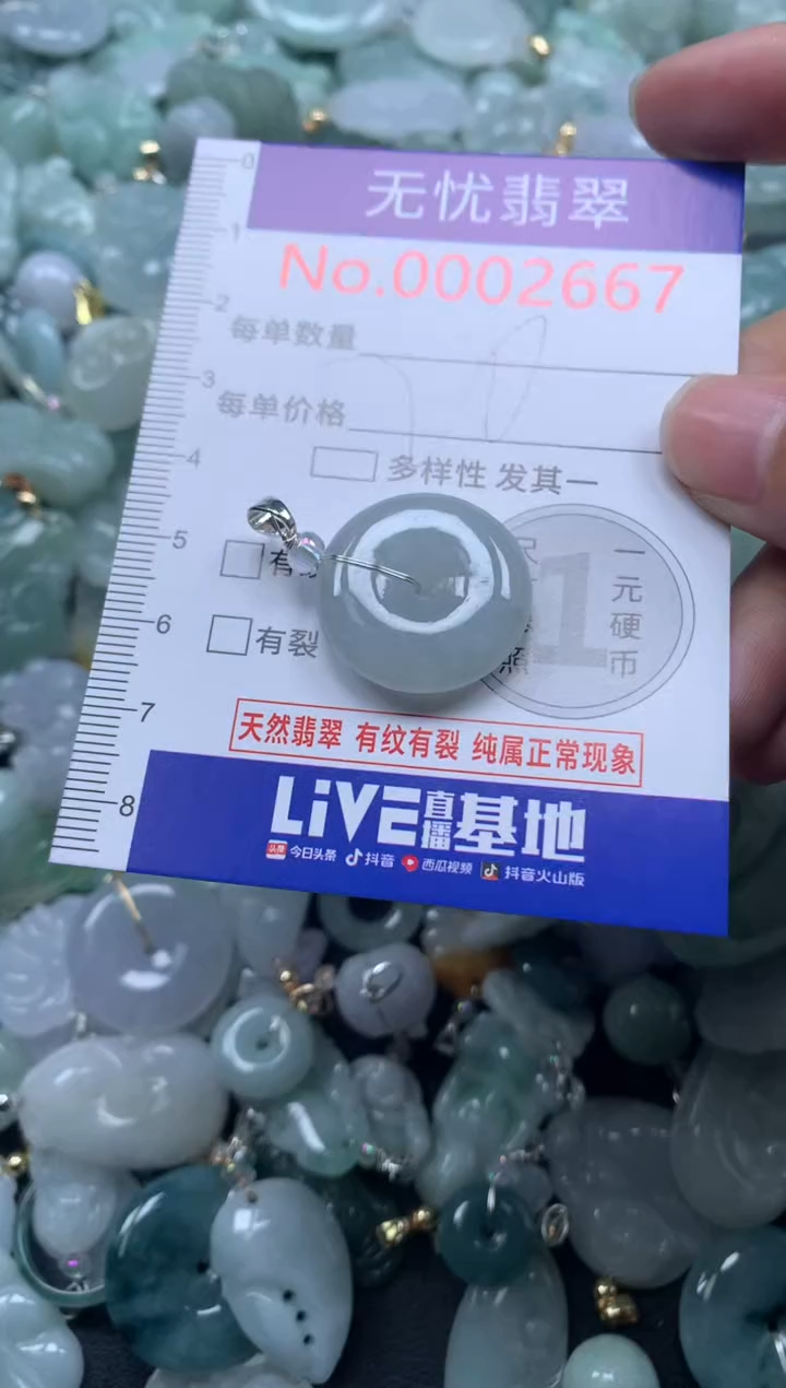 颈饰未镶嵌翡翠2667
