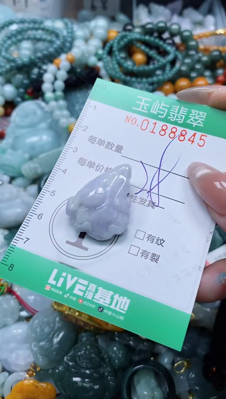 翡翠未镶嵌颈饰闪购0188845