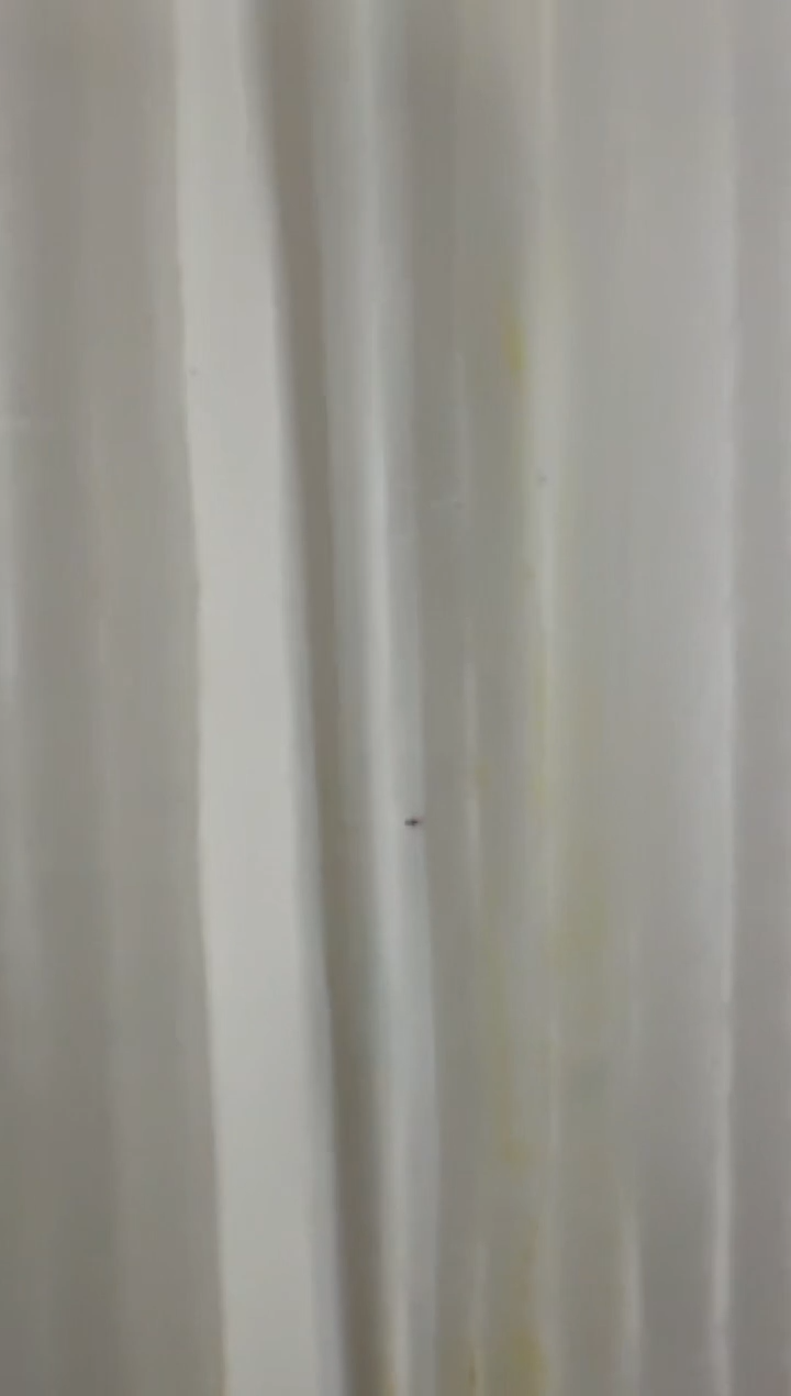 福利捆货千张连号 WW 保真鉴定 05无47