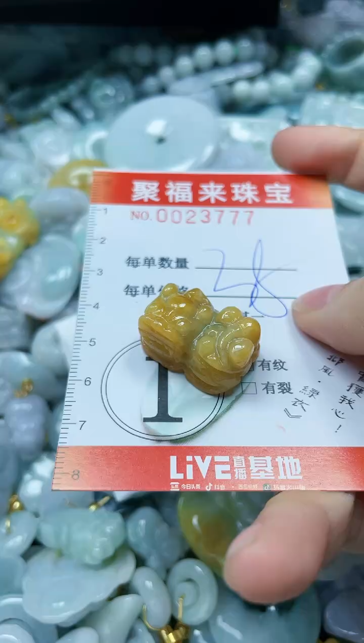 【闪购商品】翡翠颈饰未镶嵌闪购0023777