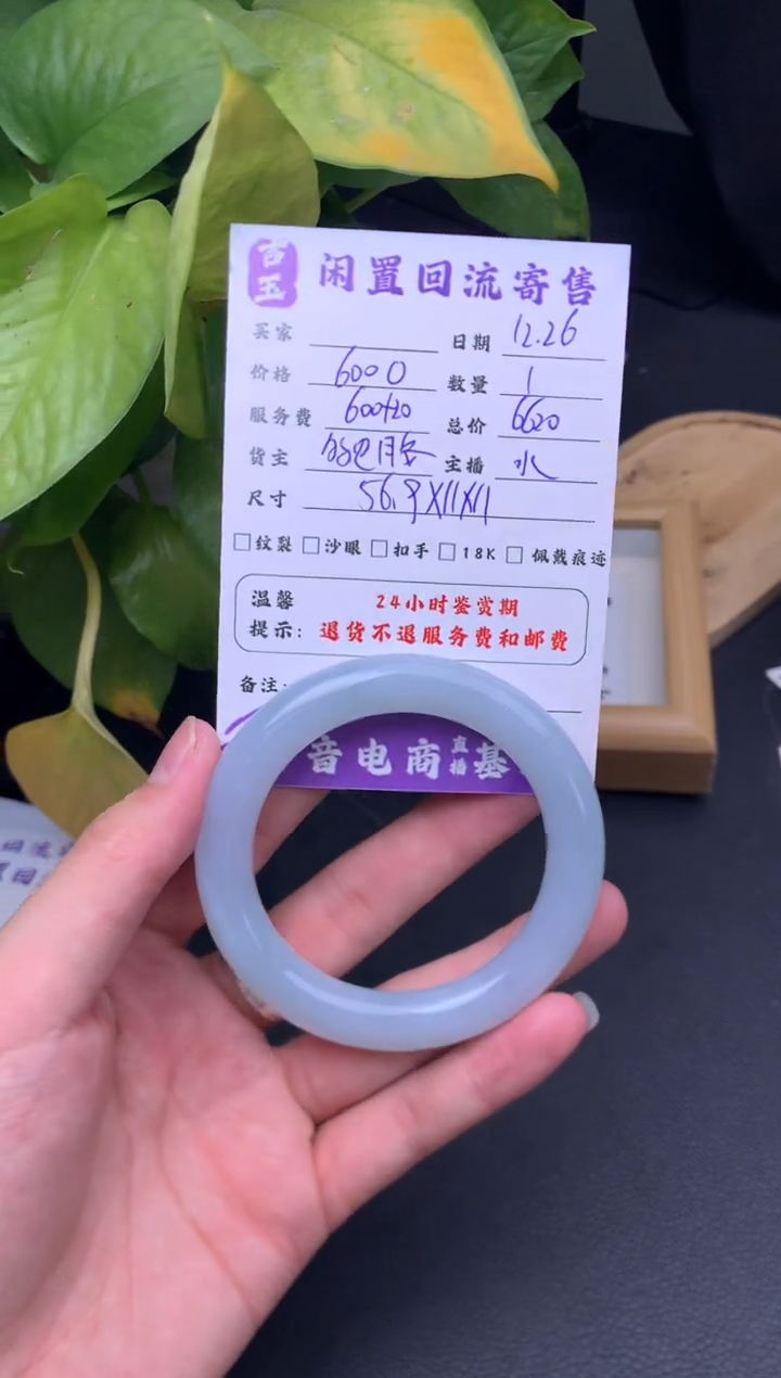 未镶嵌手镯翡翠手镯