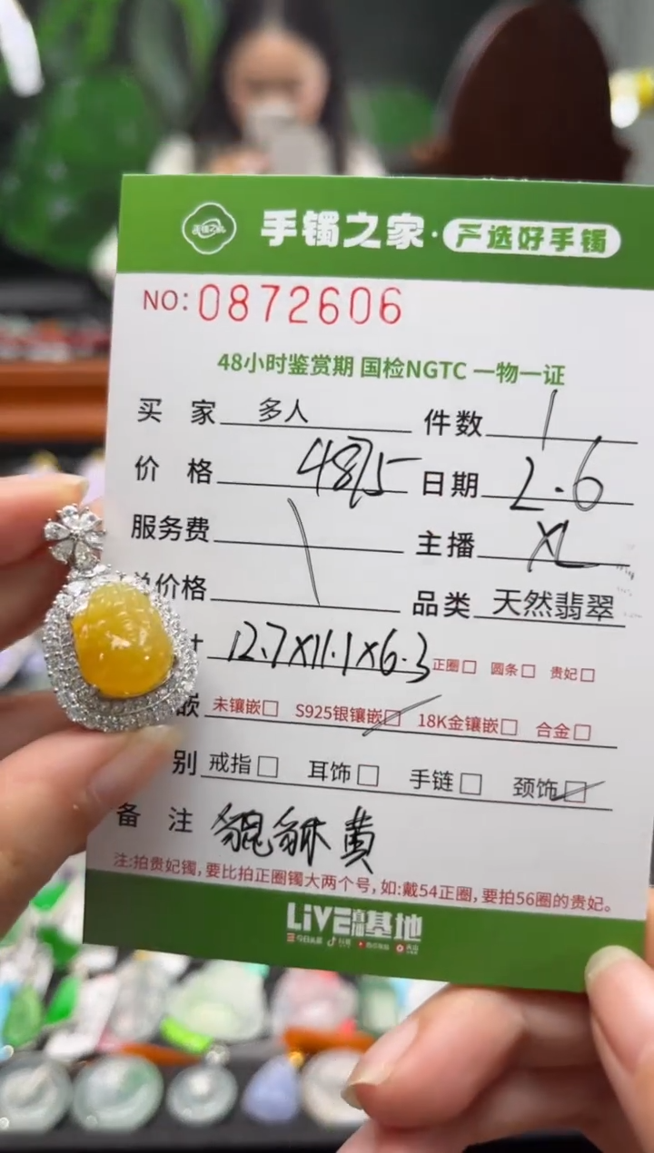 【闪购商品】翡翠颈饰银S925镶嵌多人