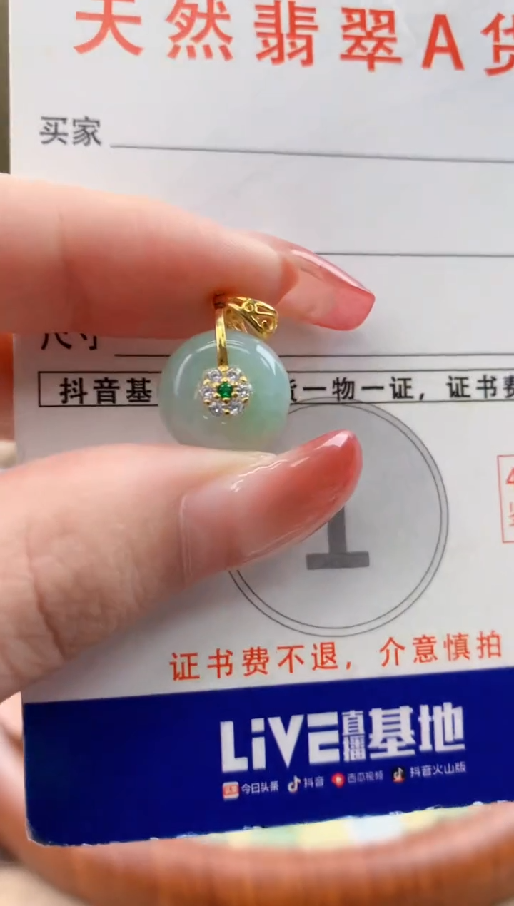 颈饰未镶嵌翡翠天然A货翡翠挂件