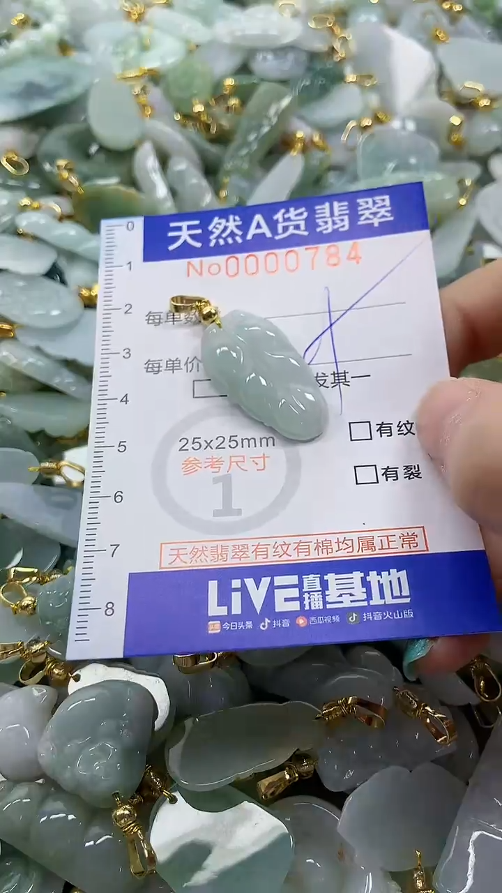 颈饰未镶嵌翡翠纯天然a货翡翠