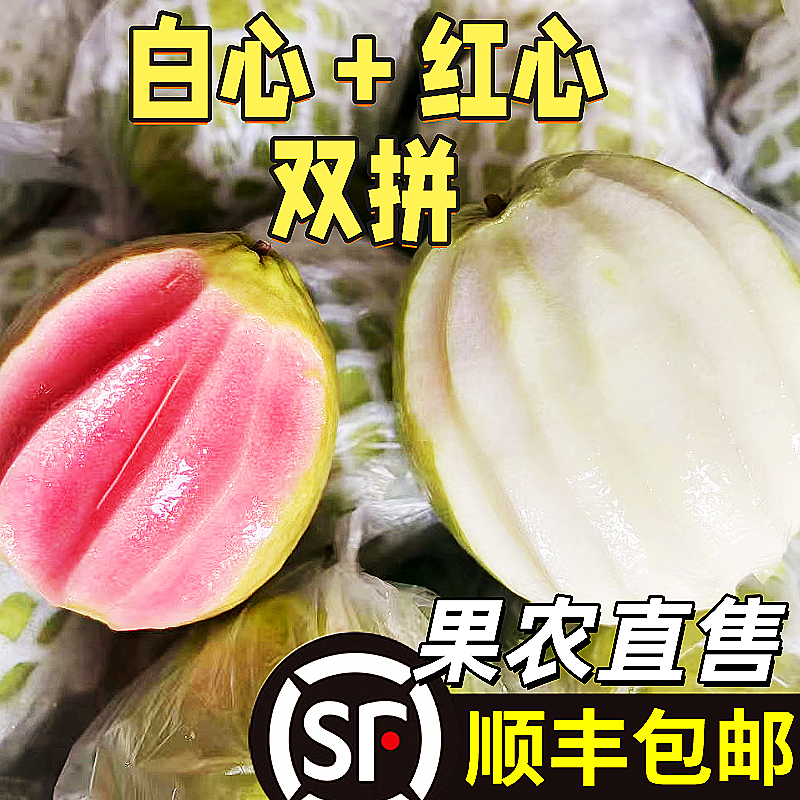 广西白心红心芭乐双拼软糯香甜包邮番石榴应季水果清甜芭乐浓香