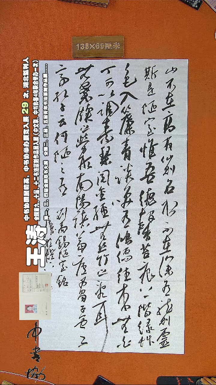 【闪购商品】书法573E王涛书法作品