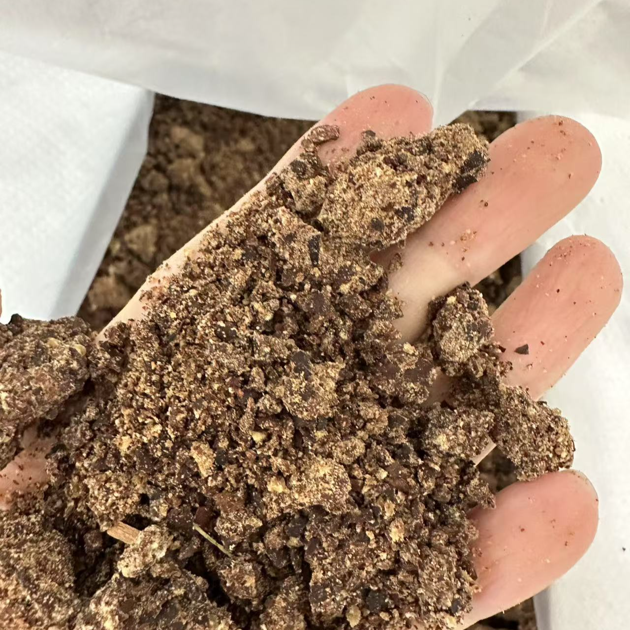 茶麸 茶籽饼 非食用