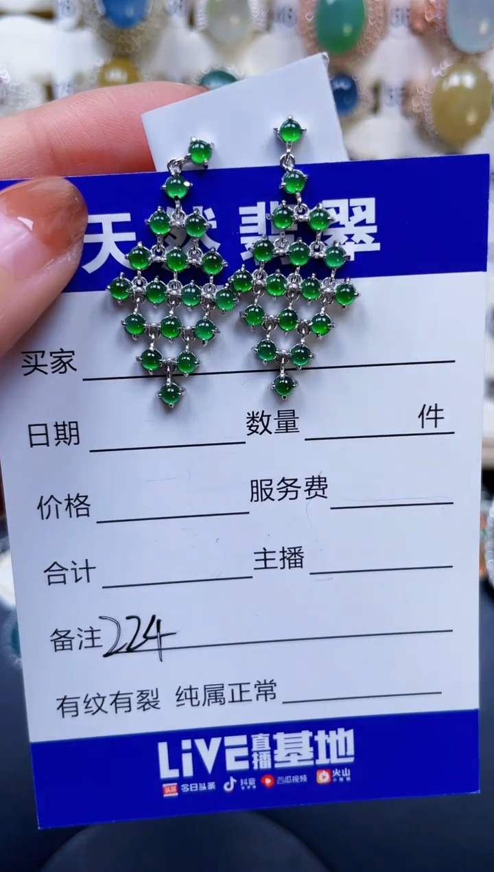 银S925镶嵌翡翠耳饰224