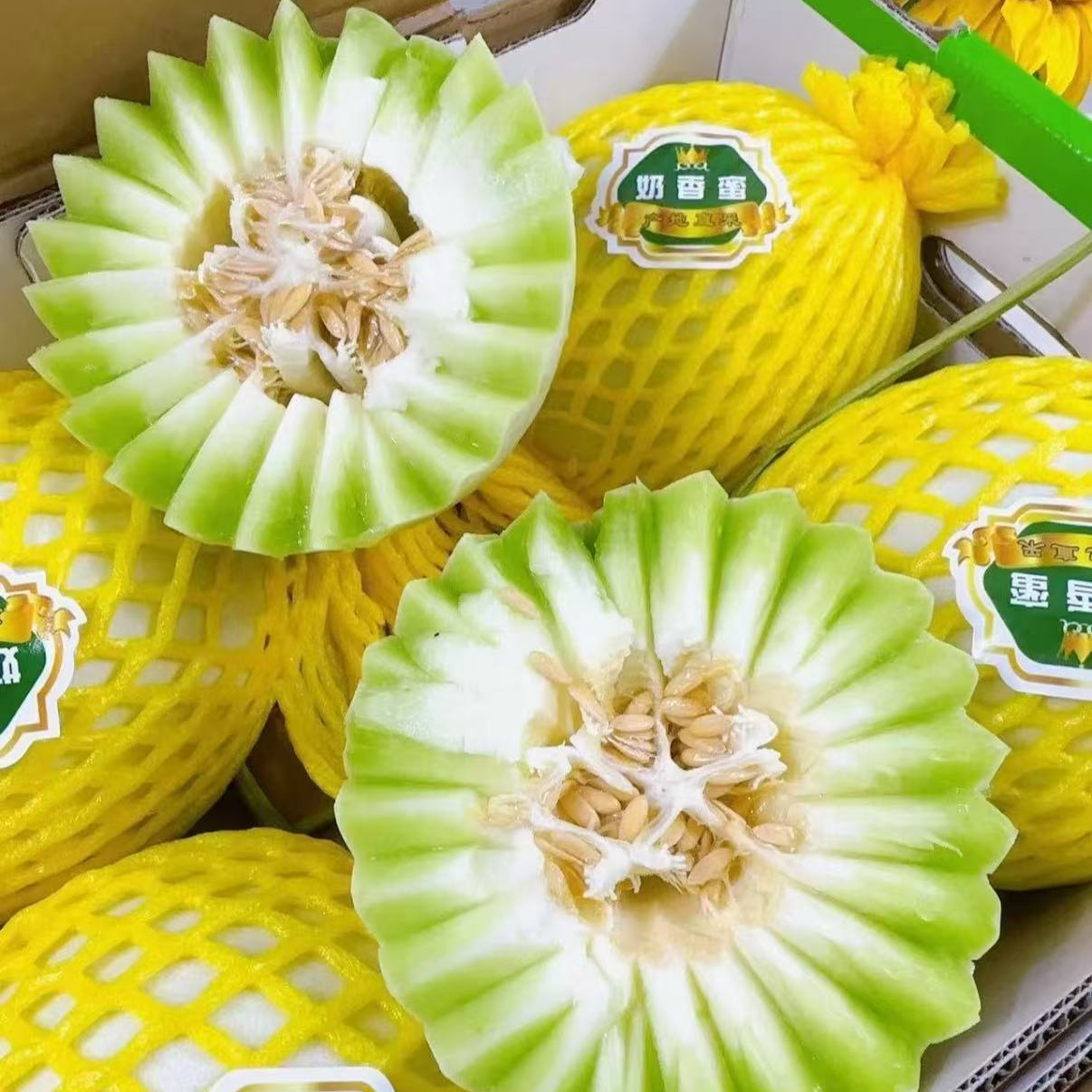 【果匀精选】（奶香蜜）哈密瓜
