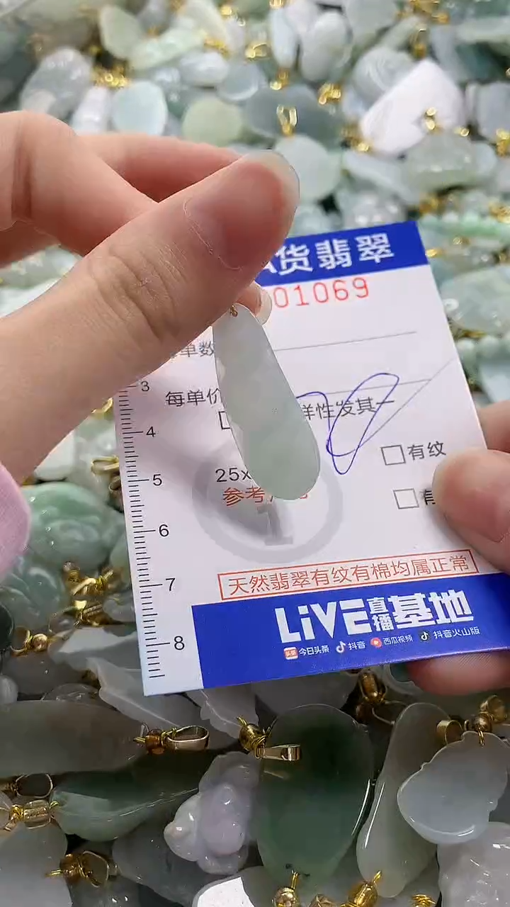 颈饰未镶嵌翡翠纯天然a货翡翠