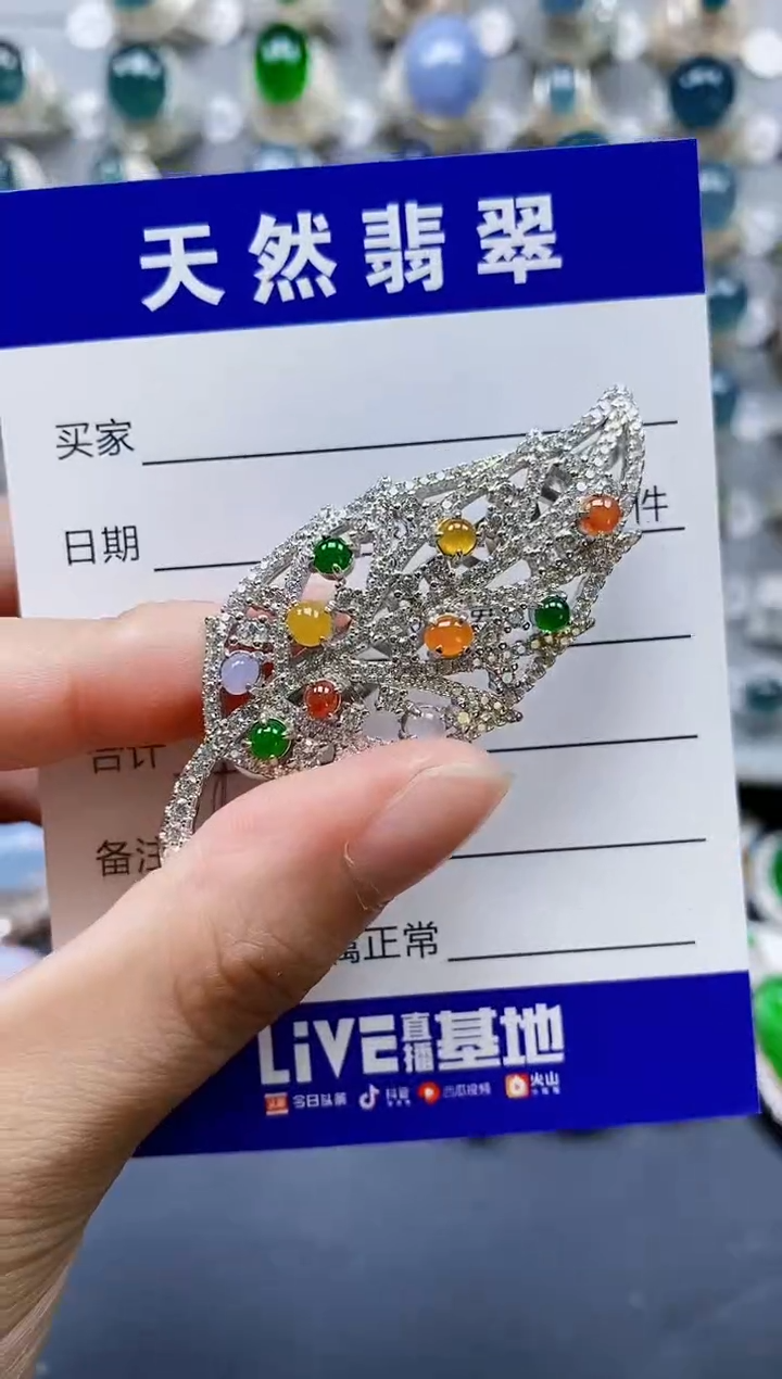 翡翠银S925镶嵌颈饰0625