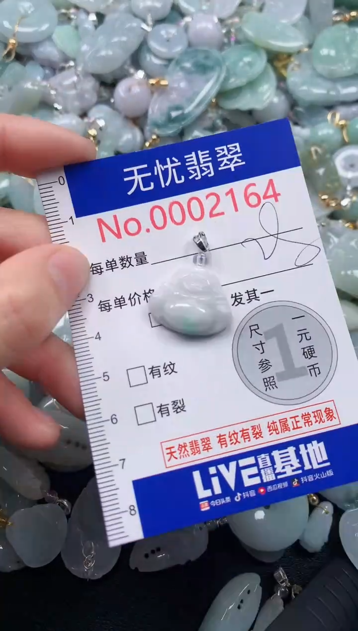 颈饰未镶嵌翡翠2164