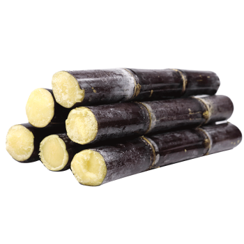 广西黑皮紫甘蔗每根4-5斤