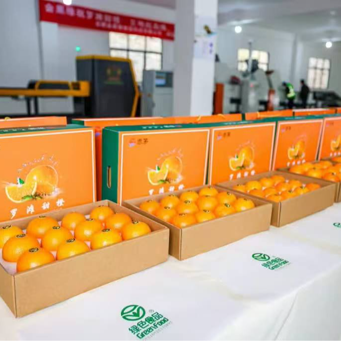 精品包装赤茅甜磴纽荷尔脐橙原生态种植大人小孩都看吃的橙子