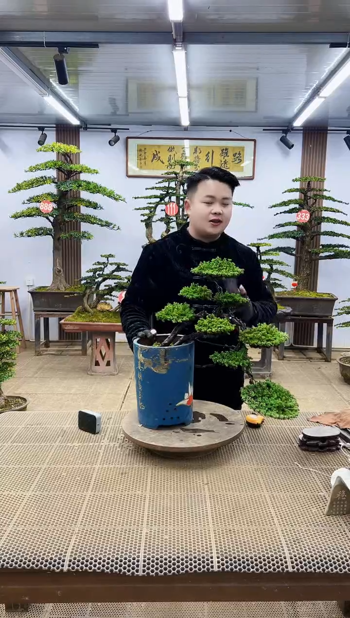 【闪购商品】0000000000