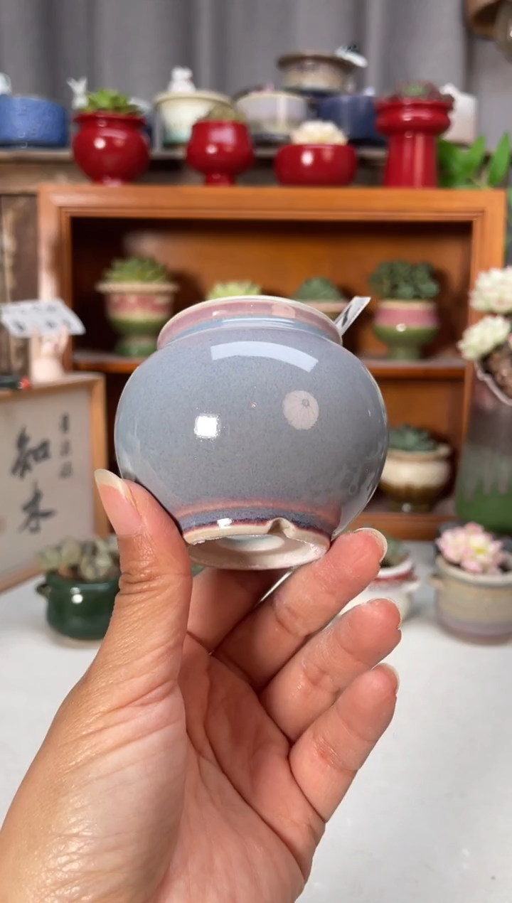 瓷片797小芳直播编号