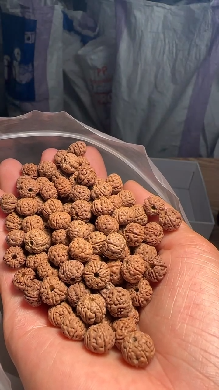 金刚菩提手串非全品老树王散籽10-11mm一份一百颗