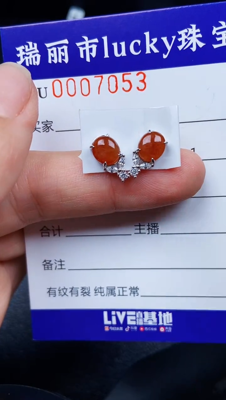 翡翠银S925镶嵌颈饰7053