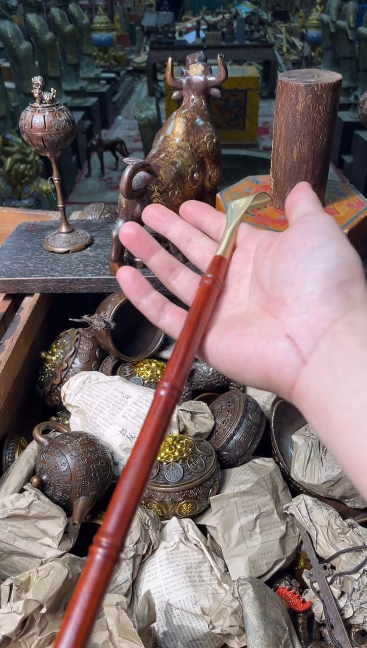  果果果果专属链接