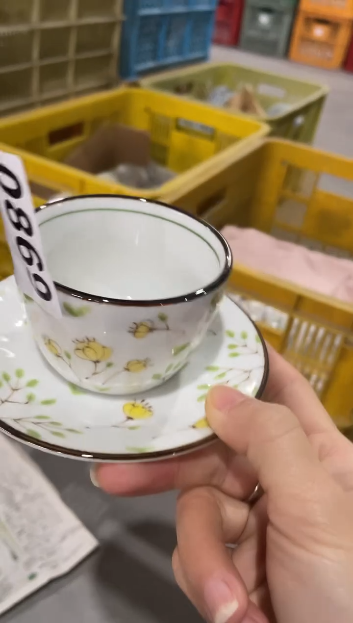 【闪购商品】瓷片          869号