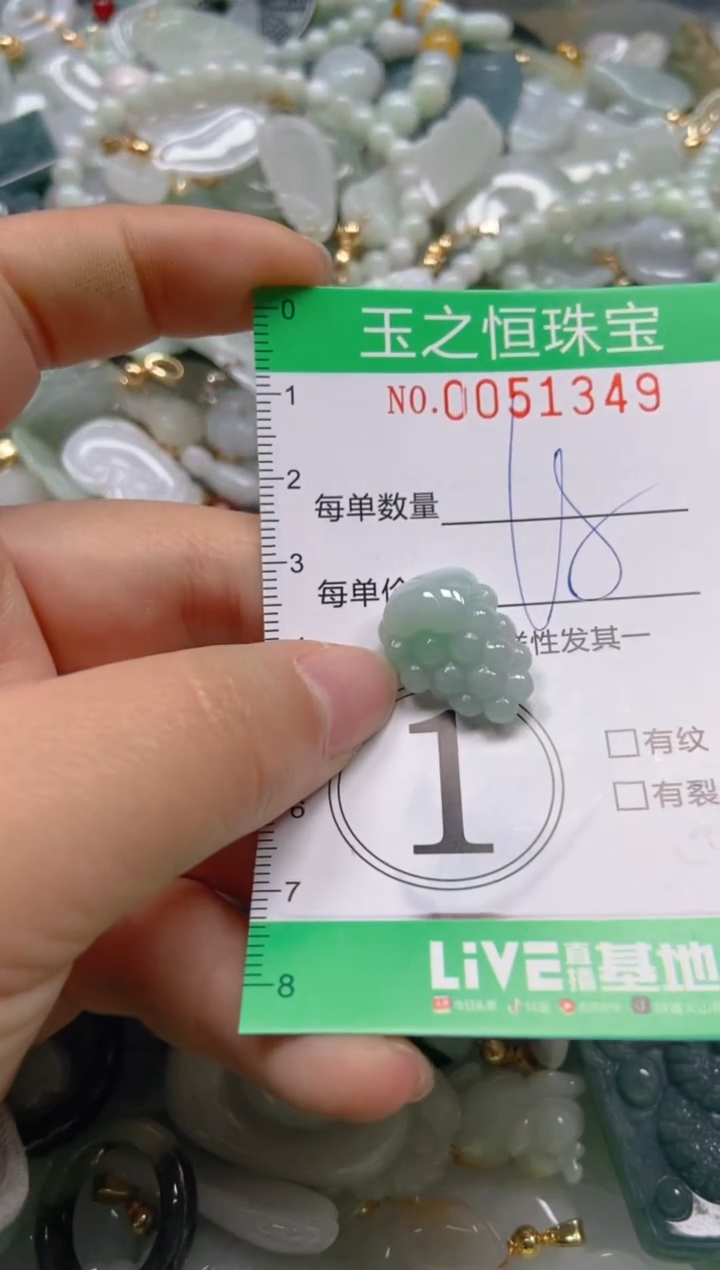 【闪购商品】翡翠颈饰未镶嵌闪购0051349