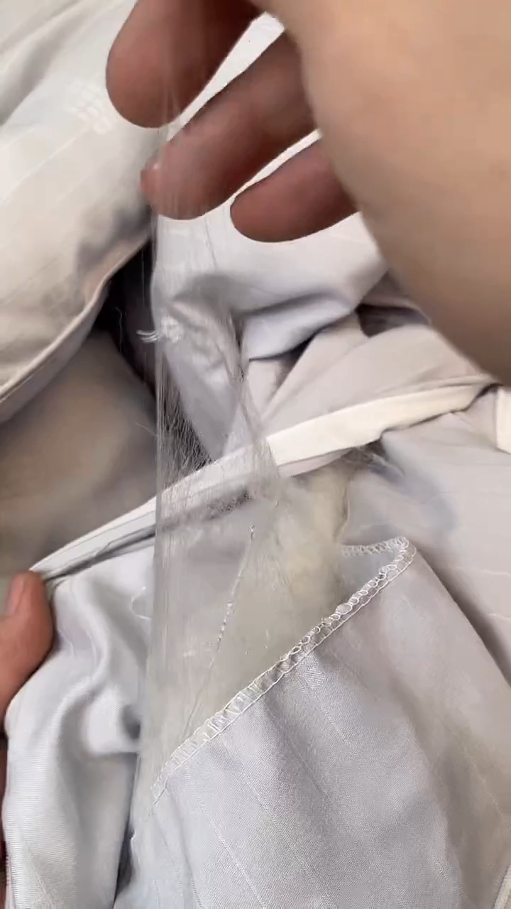 长丝95%及以上桑蚕丝川如图所示 老崔精选