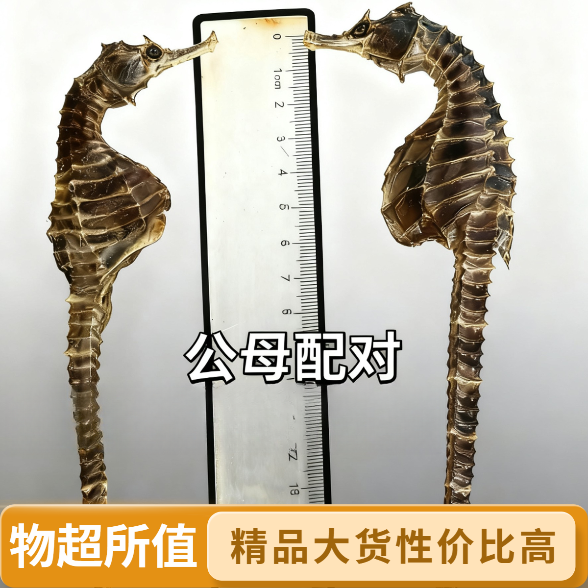 20厘米一对生晒足干海马干适合泡酒的海干货海马泡酒专用