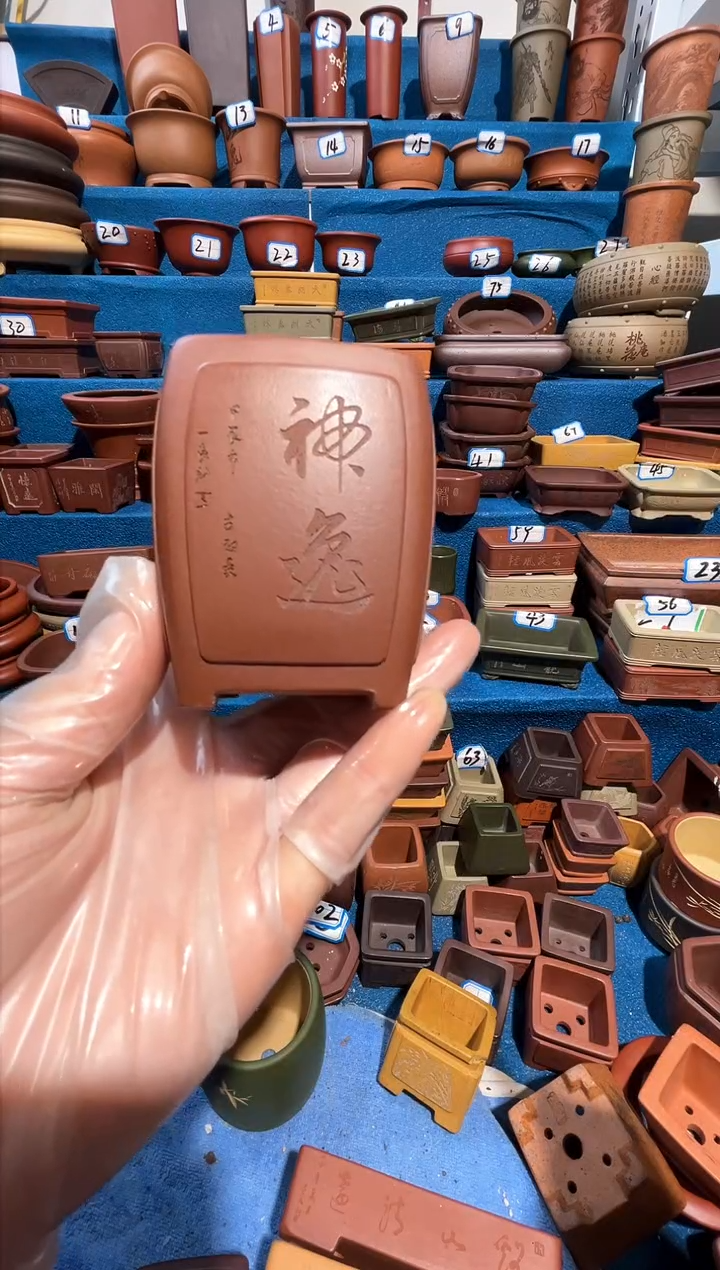 【闪购商品】紫砂紫砂花盆5*6.5