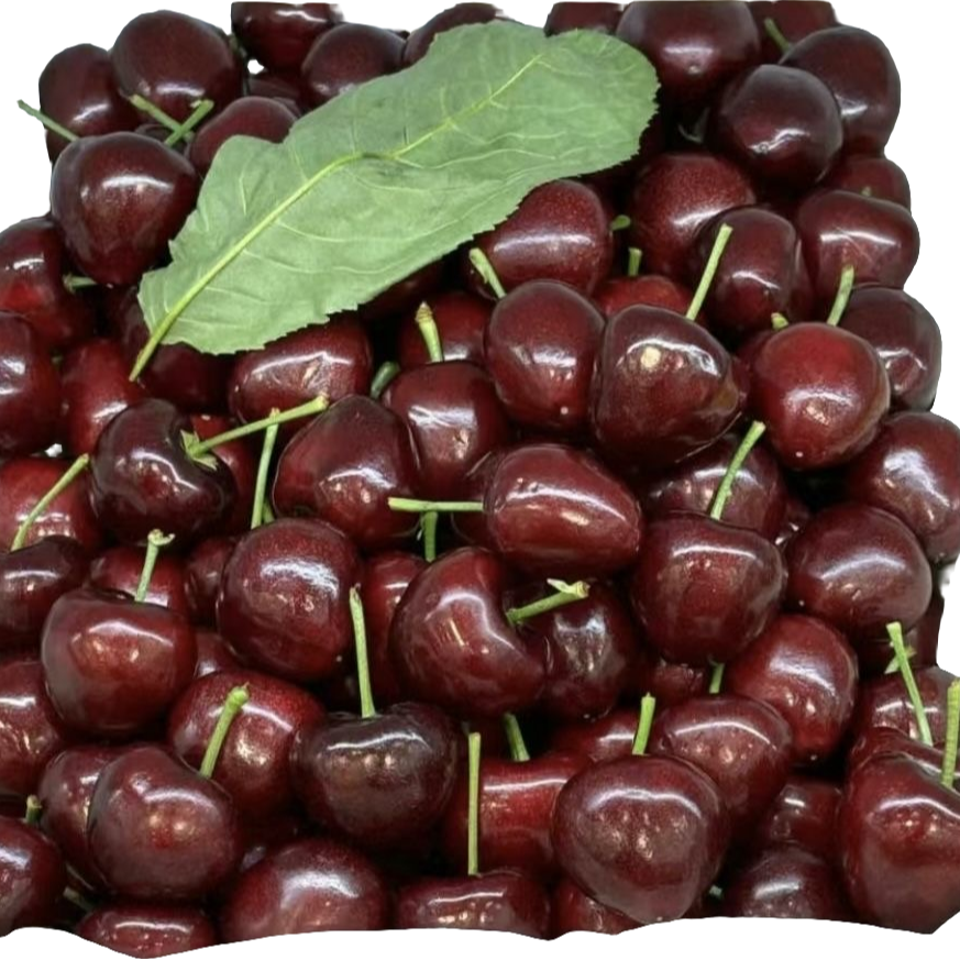 （5斤原箱）海运智利桑提娜车厘子 2JD桑提娜2.5KG原箱桑提娜智利