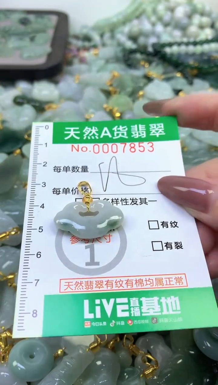 颈饰未镶嵌翡翠纯天然缅甸A货翡翠