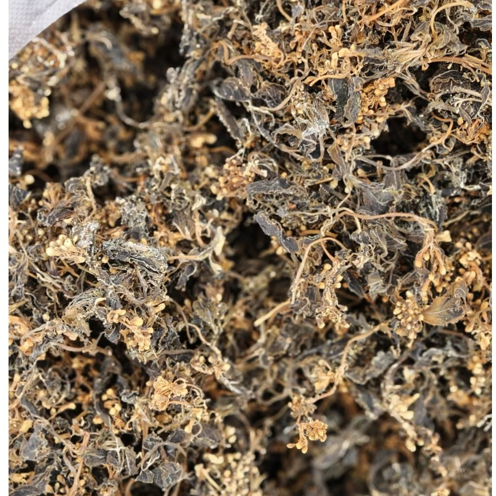 陕西镇巴的地方特产树花菜