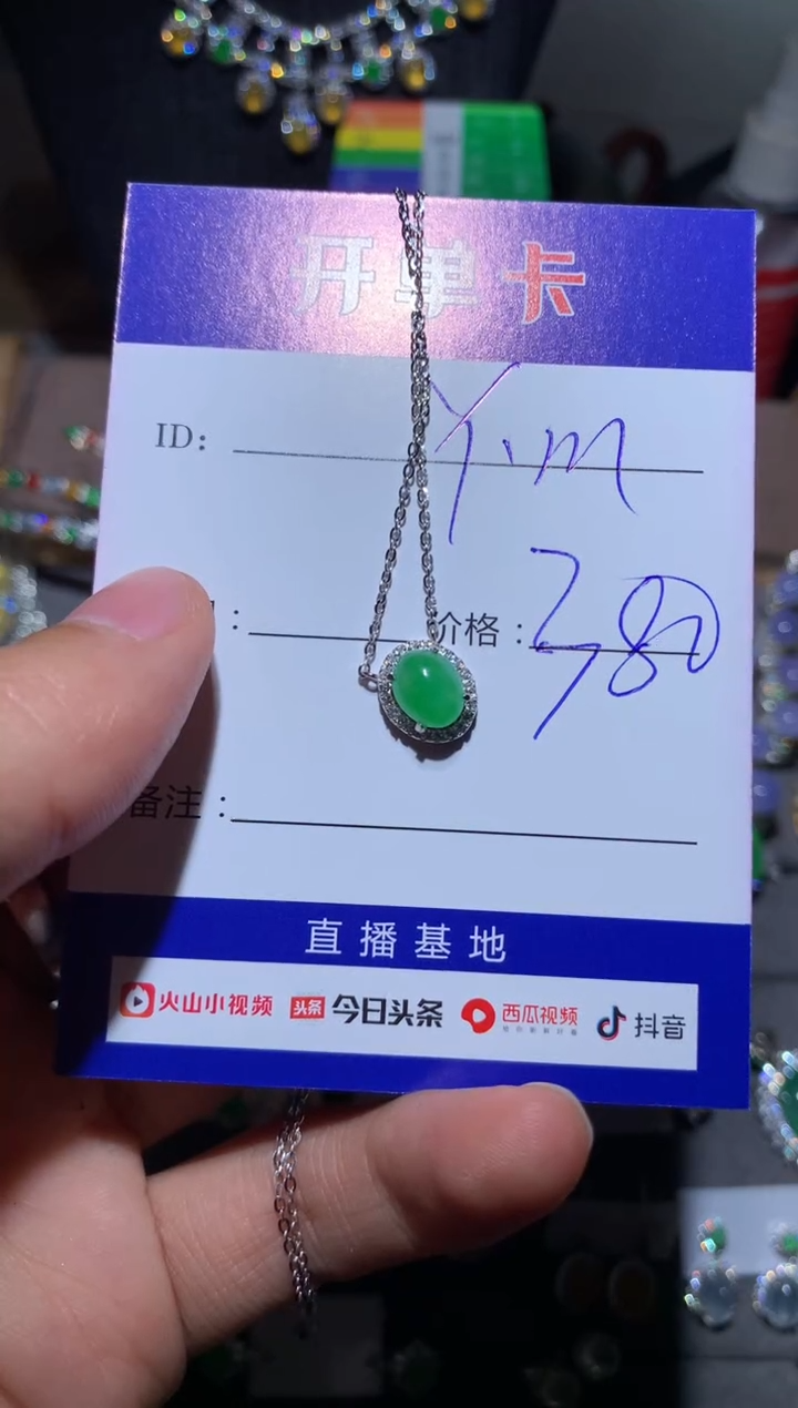 【闪购商品】翡翠颈饰银S925镶嵌 定向 Y.m