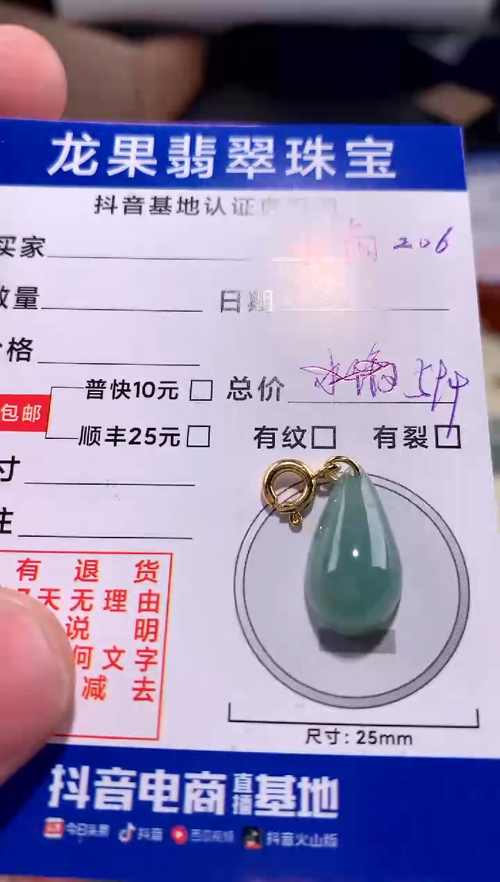 【闪购商品】翡翠颈饰未镶嵌绿水滴206