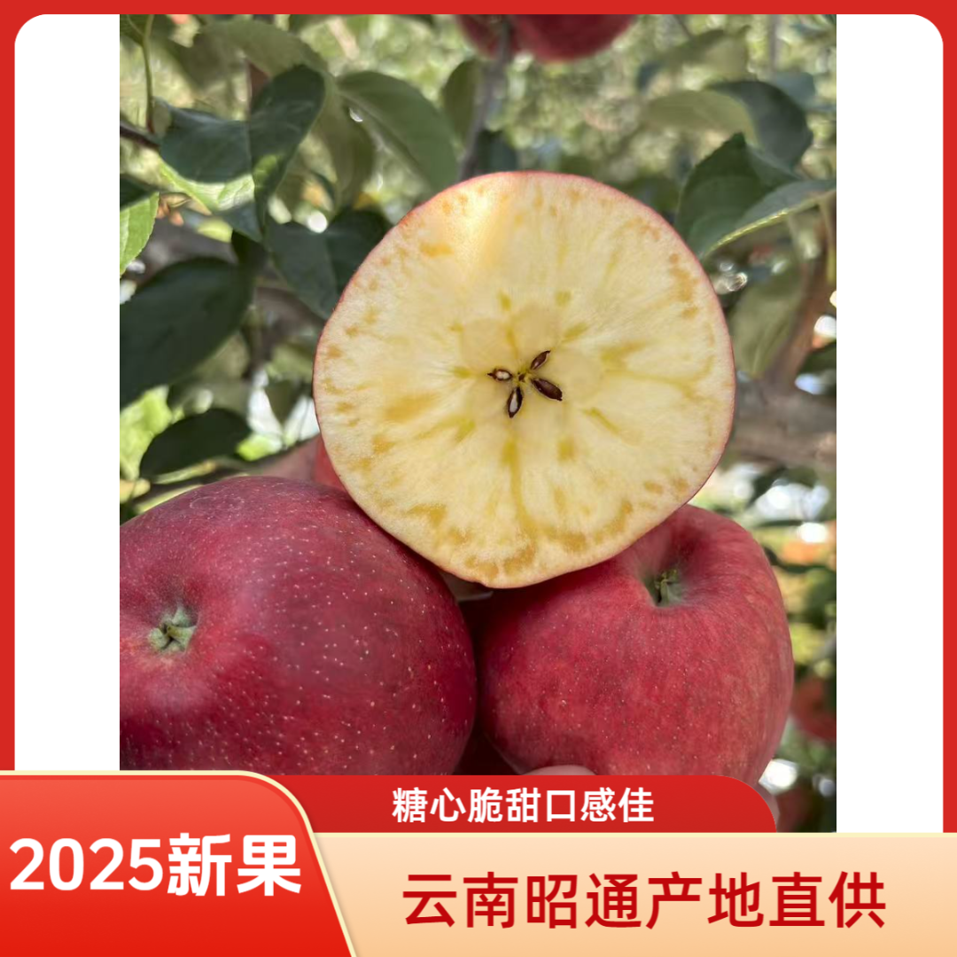 云南昭通冰糖心丑苹果现摘现发纯甜冰糖心苹果新鲜原生态坏果包赔