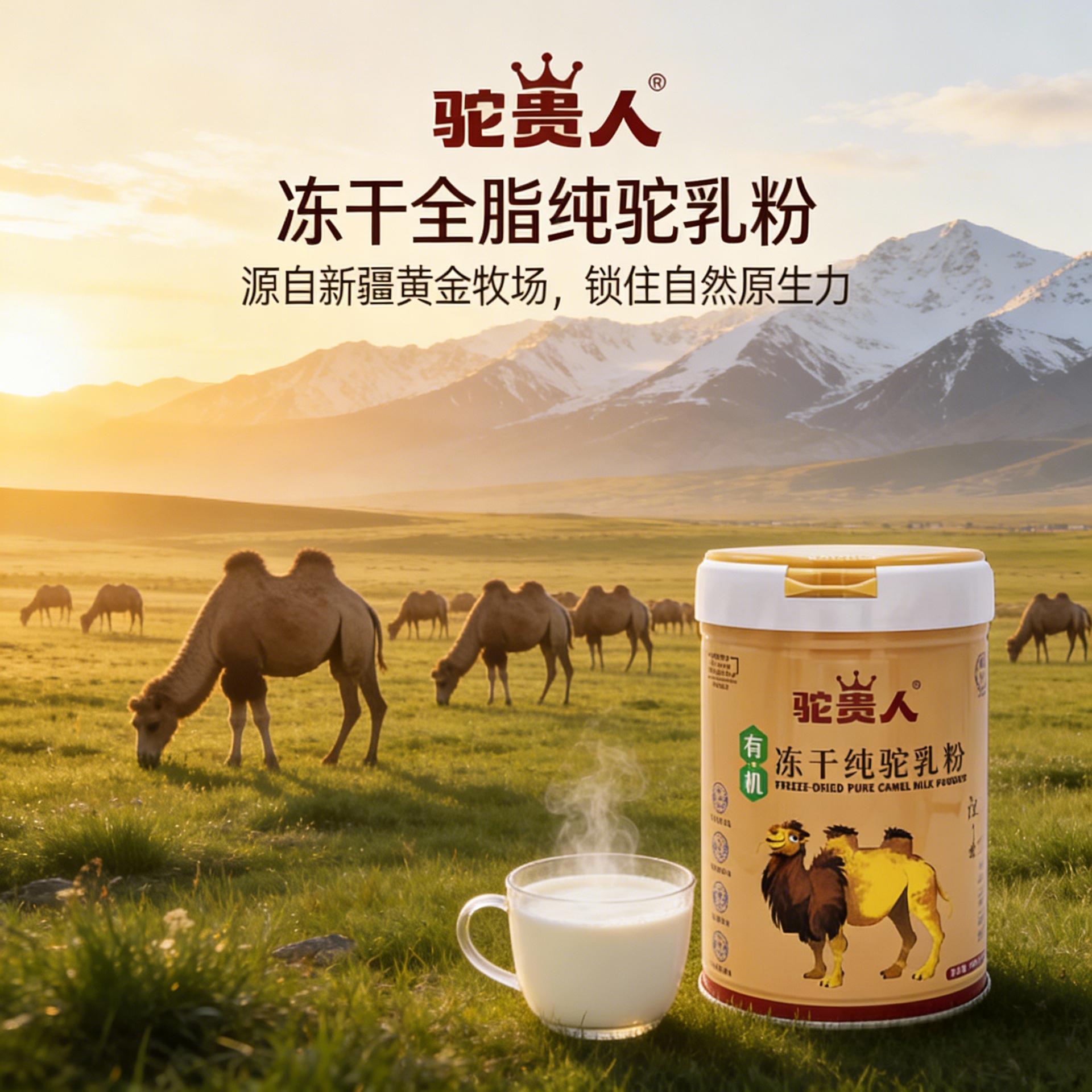 新疆正宗驼乳粉 冻干工艺 100%有机纯驼奶 量大更实惠